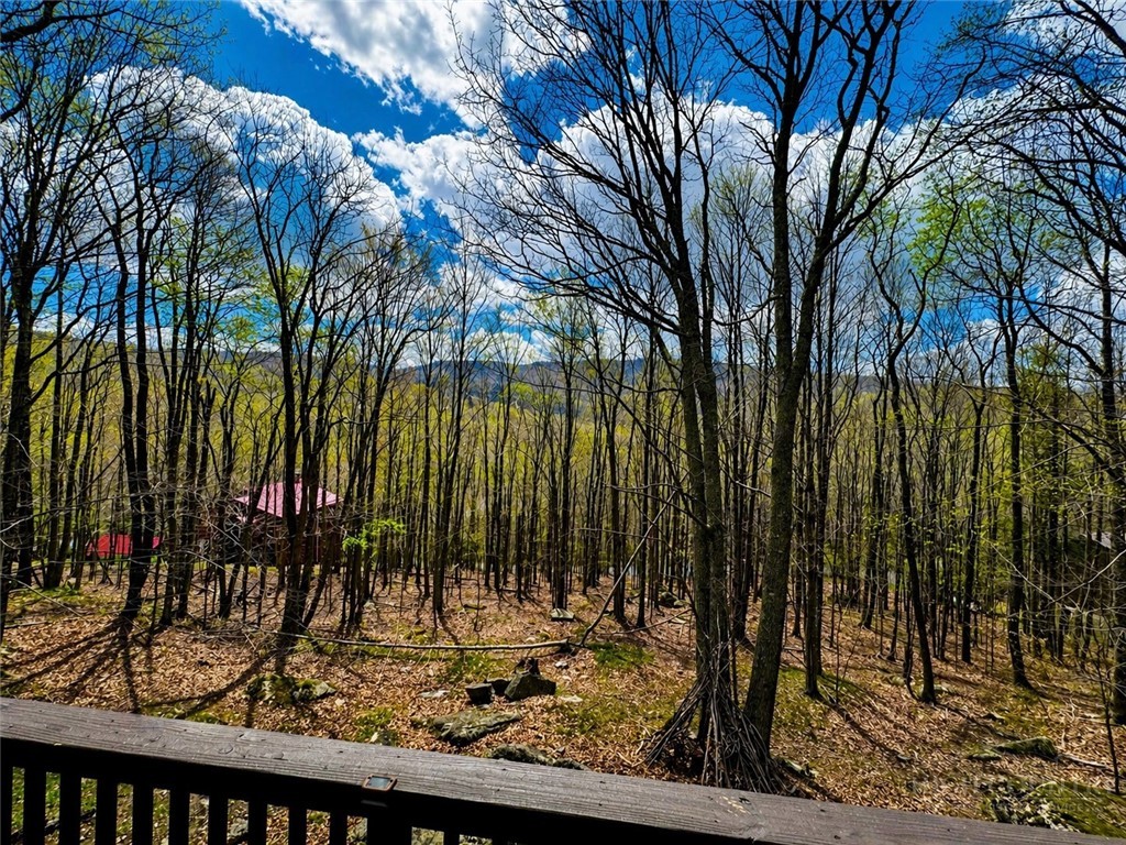 125 Lower Grouse Ridge Road Beech Mountain, NC 28604 - Photo 21 of 47