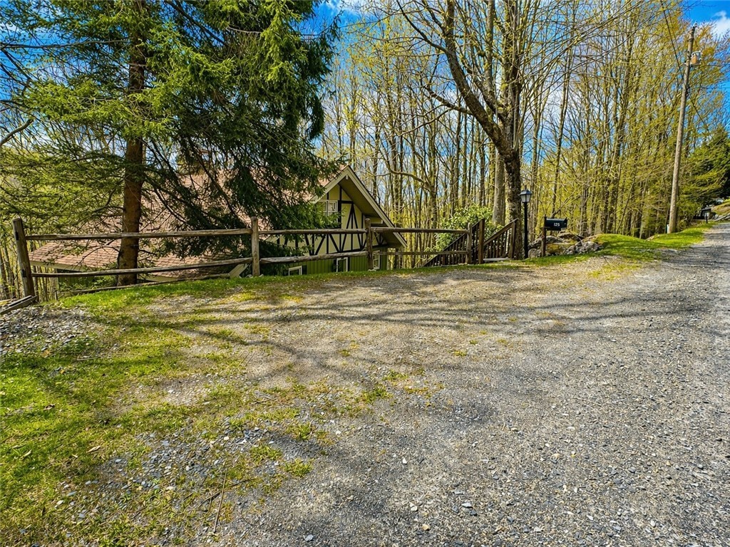 125 Lower Grouse Ridge Road Beech Mountain, NC 28604 - Photo 47 of 47