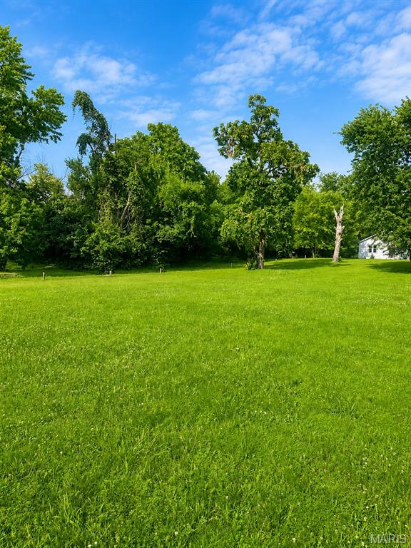 413 Ries Road Ballwin, MO 63021 - Photo 3 of 11