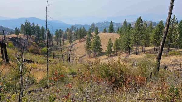 $45,000 | 5884 H Coyote Canyon Road, Fruitland, WA 99129