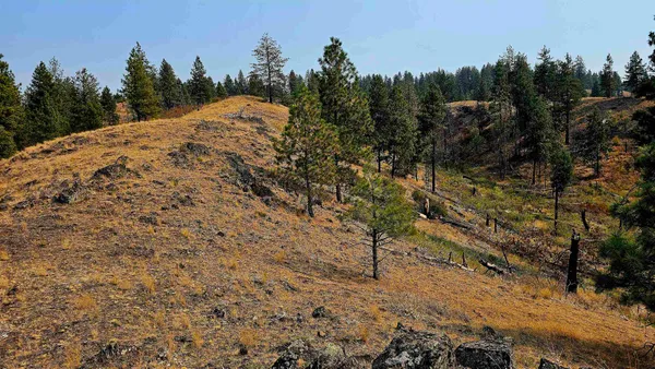 $45,000 | 5884 H Coyote Canyon Road, Fruitland, WA 99129