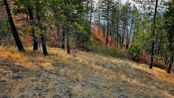 $45,000 | 5884 H Coyote Canyon Road, Fruitland, WA 99129