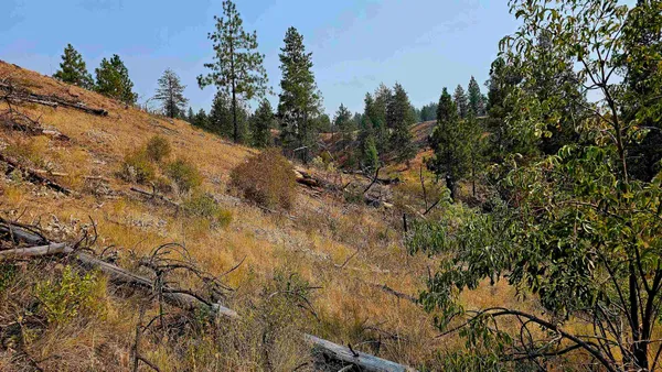 $45,000 | 5884 H Coyote Canyon Road, Fruitland, WA 99129