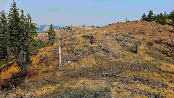 $45,000 | 5884 H Coyote Canyon Road, Fruitland, WA 99129