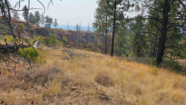 $45,000 | 5884 H Coyote Canyon Road, Fruitland, WA 99129