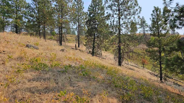 $45,000 | 5884 H Coyote Canyon Road, Fruitland, WA 99129
