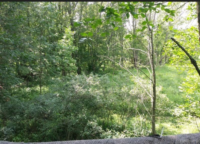 0 Curry Road Caro, MI 48723 - Photo 7 of 11