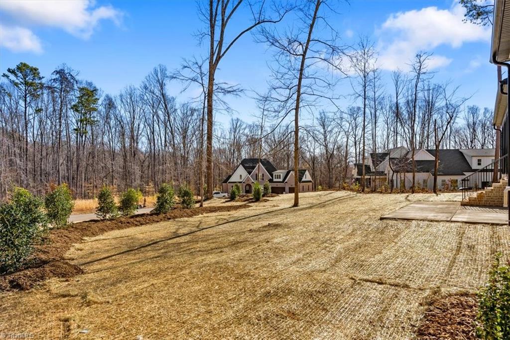 7999 Cokely Court Oak Ridge, NC 27310 - Photo 46 of 49 backyard view