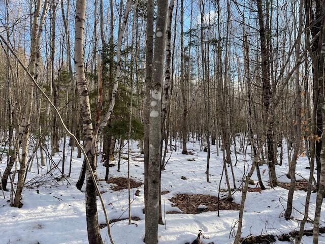 M7-l4 Ward Ridge Road Wellington, ME 04942 - Photo 4 of 14 IMG_8634