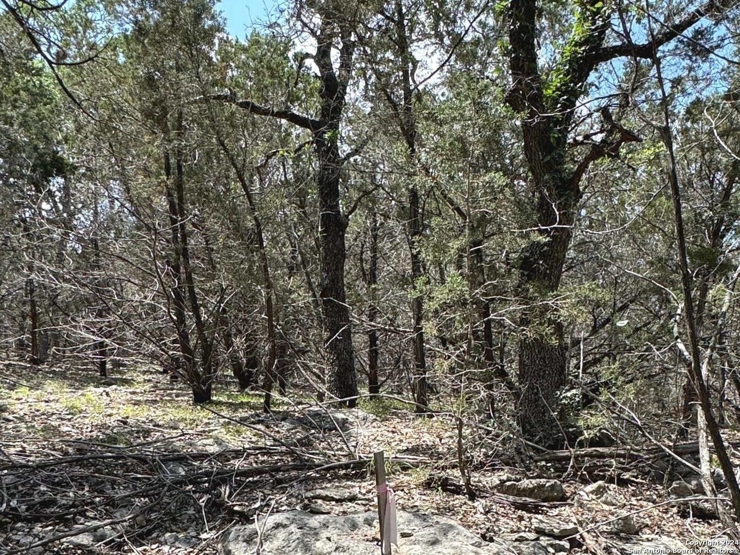 343 Serenity Pass Spring Branch, TX 78070 - Photo 12 of 18 a view of a yard with trees