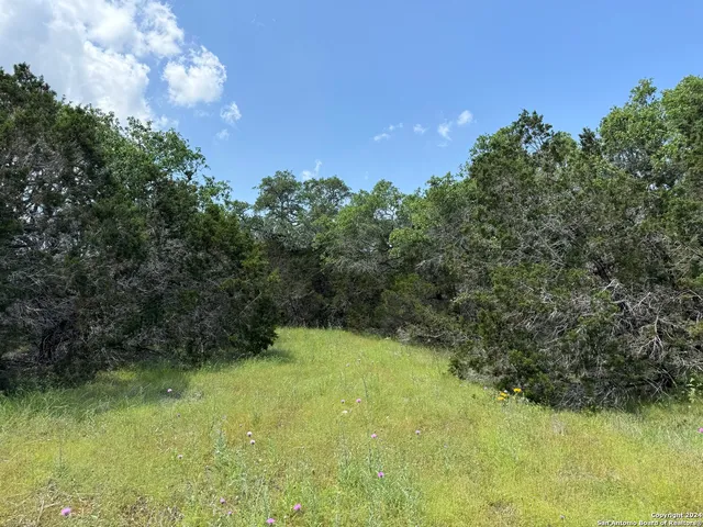 a view of an outdoor space