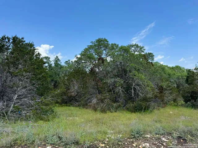 a view of a field of grass and trees