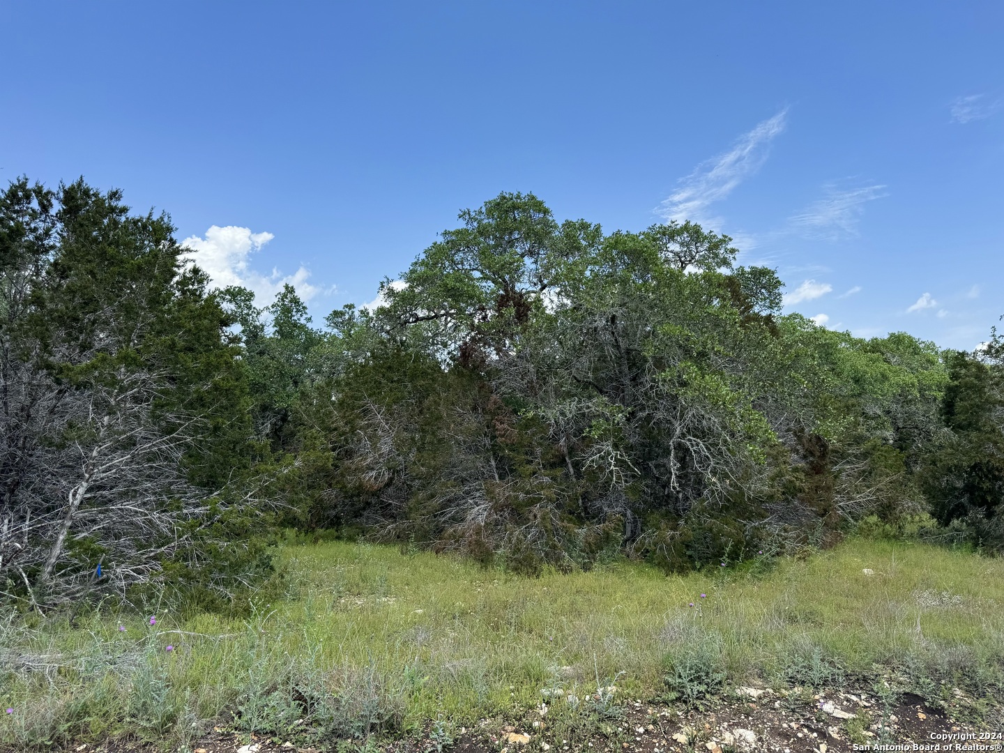 343 Serenity Pass Spring Branch, TX 78070 - Photo 4 of 18 a view of a field of grass and trees
