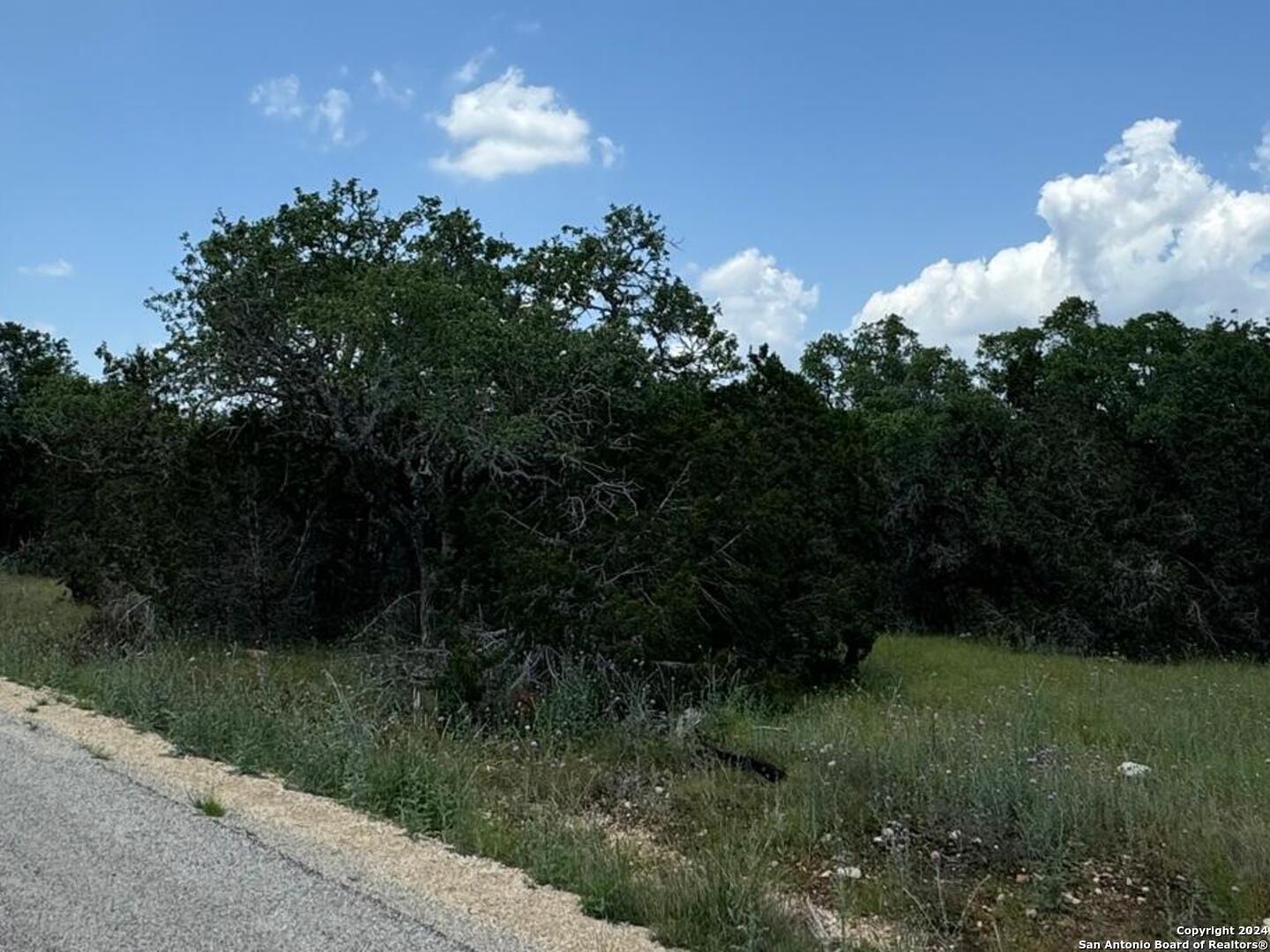 343 Serenity Pass Spring Branch, TX 78070 - Photo 7 of 18 a view of a green yard