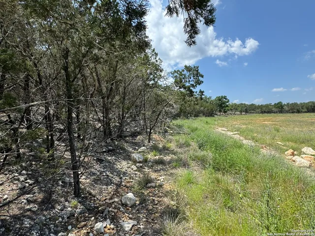 a view of a lake in middle of forest