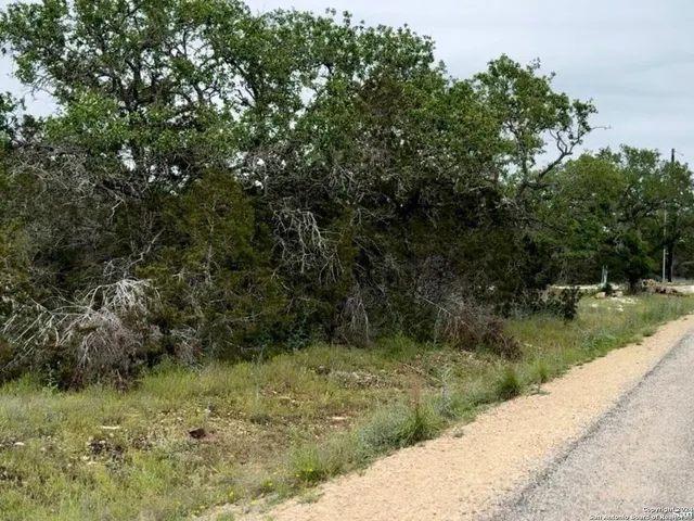 a view of a garden with a tree