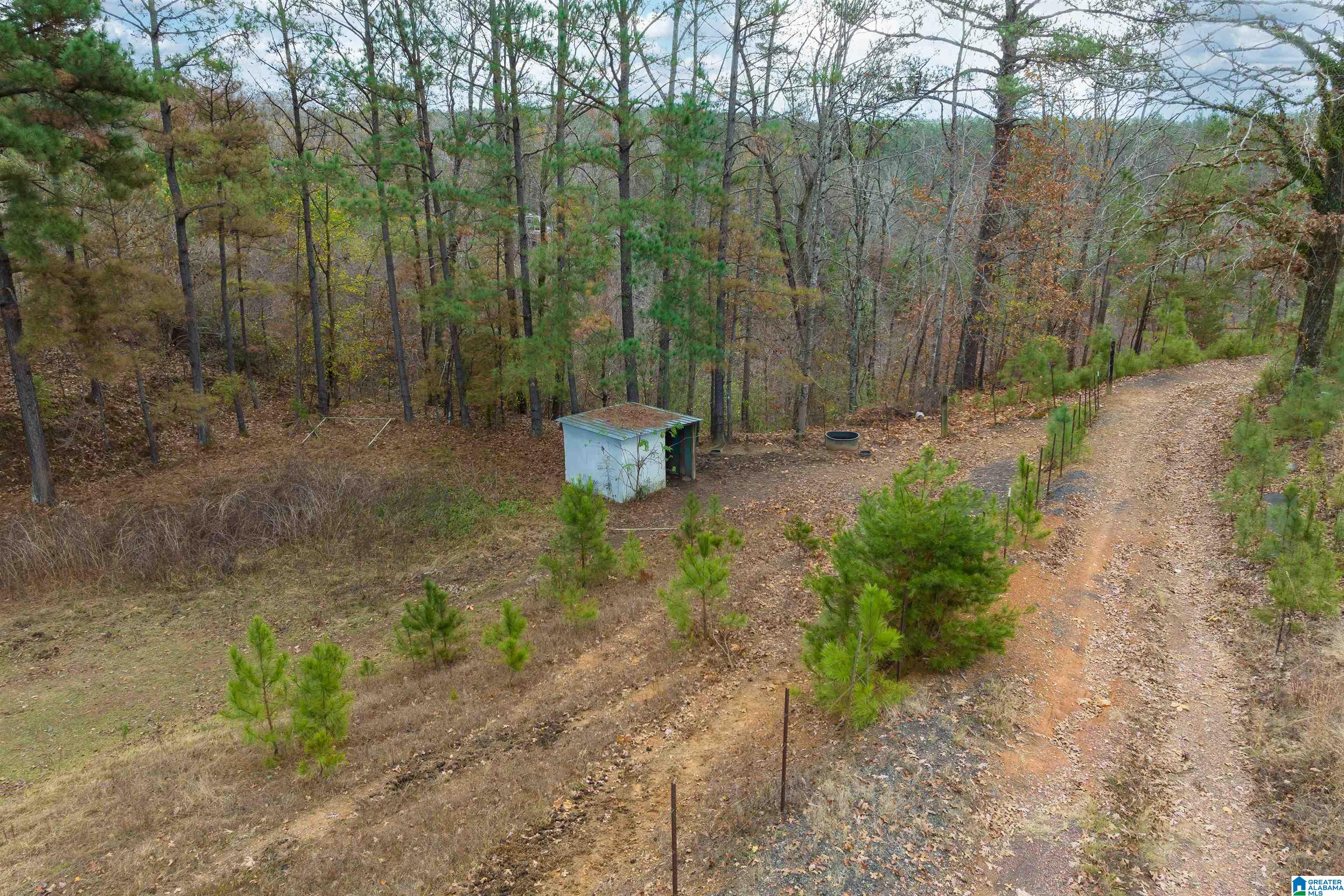 2930 Pridmore Road Quinton, AL 35130 - Photo 39 of 46
