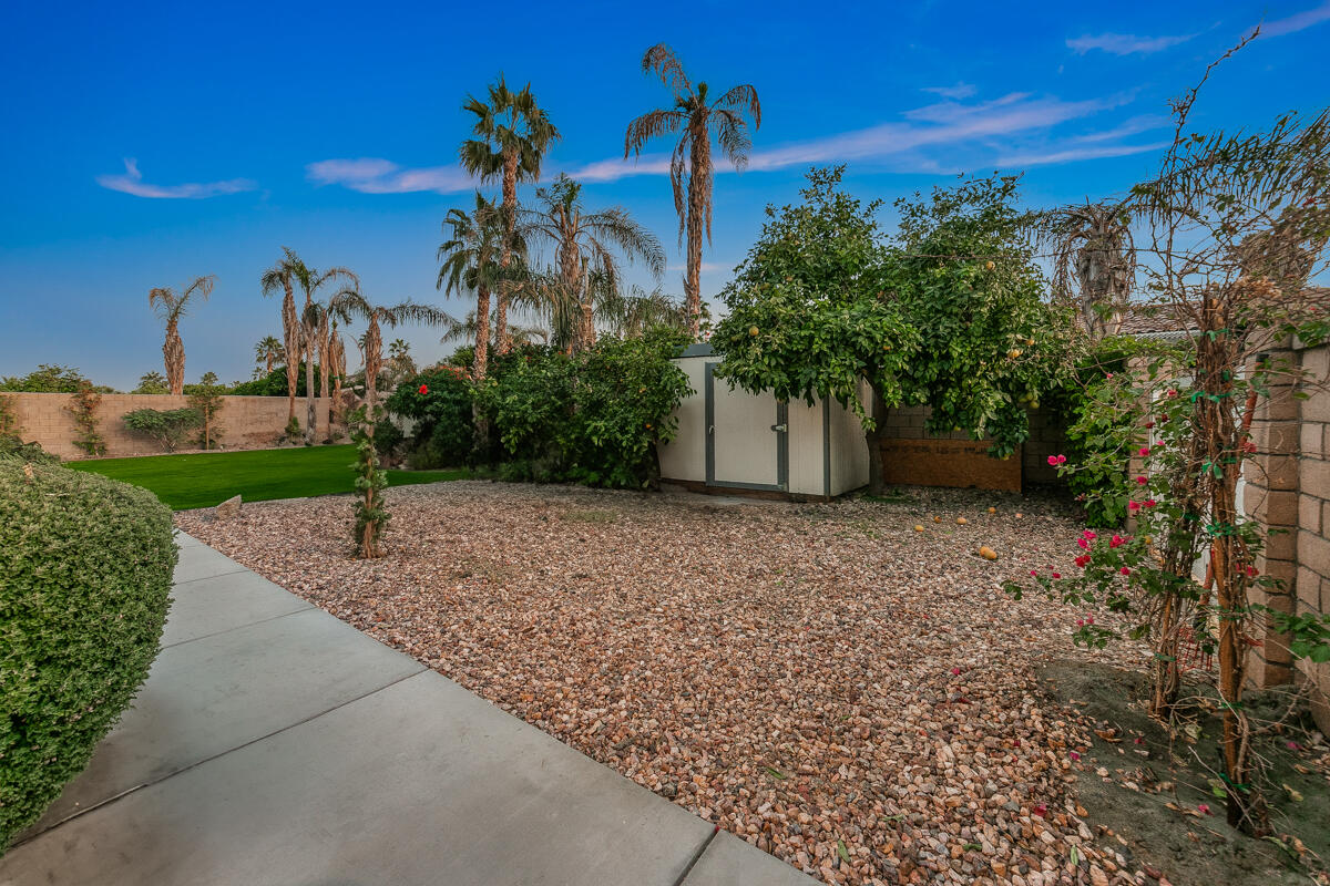 49130 Escalante Street Indio, CA 92201 - Photo 60 of 99 a view of a garden