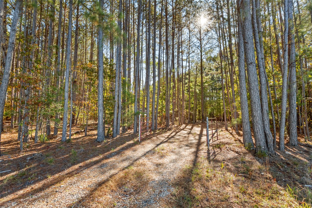 513 Mellrich Road Iva, SC 29655 - Photo 20 of 20 Gallery Image 20