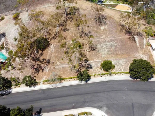 a view of a yard