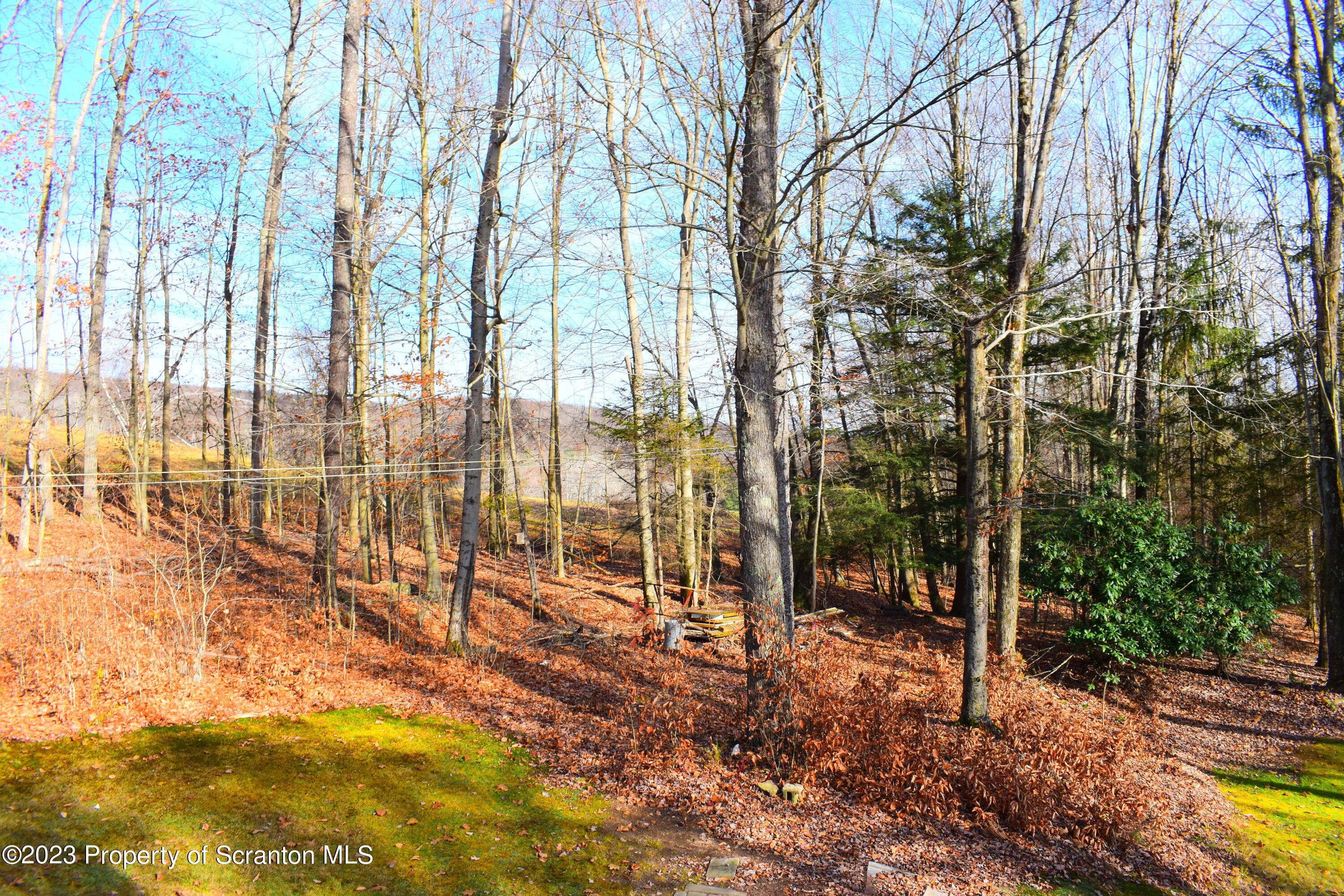 2791 Liberty Park Road Hallstead, PA 18822 - Photo 33 of 41 a view of yard