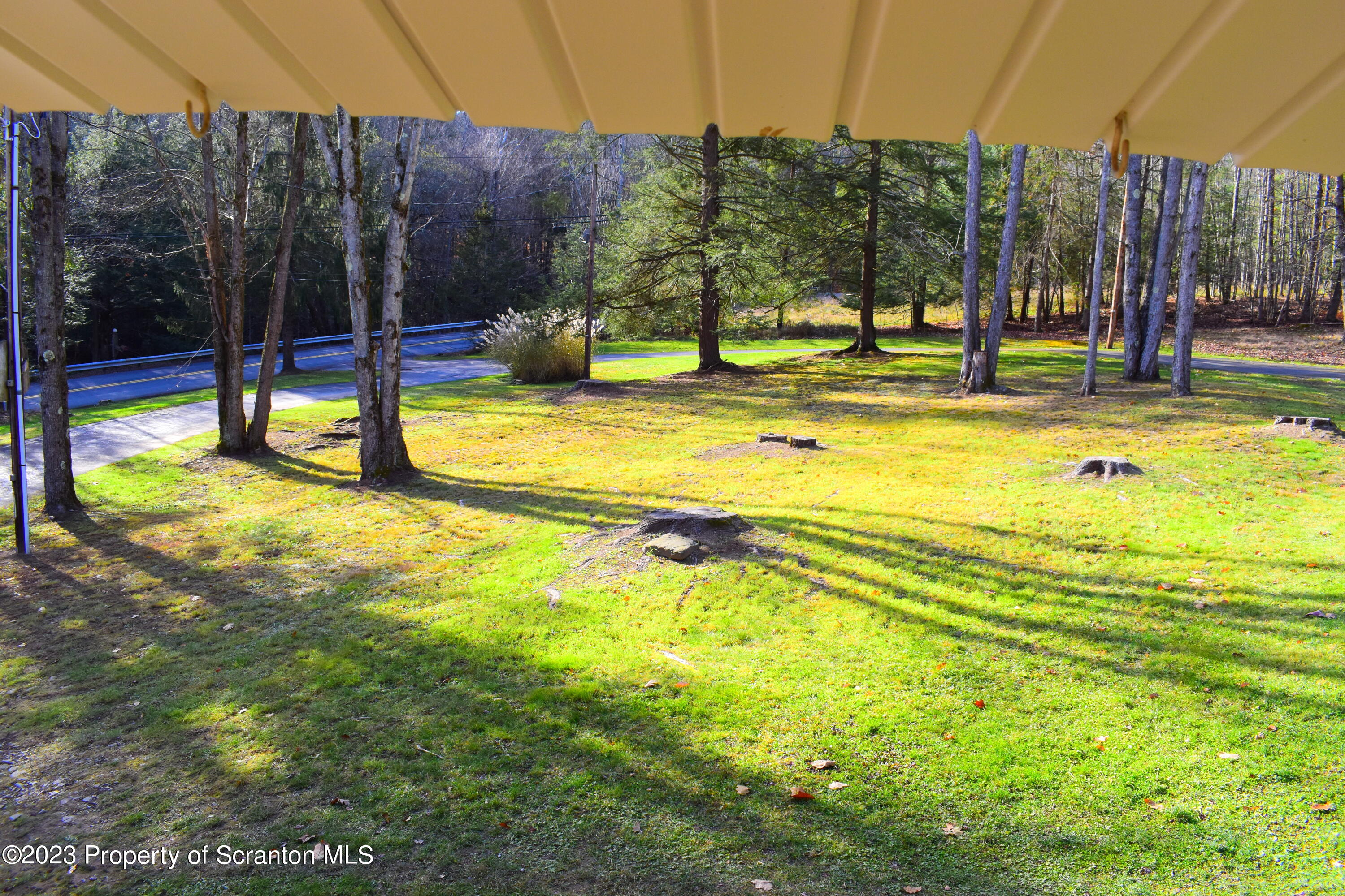 2791 Liberty Park Road Hallstead, PA 18822 - Photo 7 of 41 a view of swimming pool with lawn chairs and palm tree