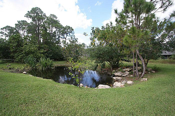 17523 82nd Road North Loxahatchee, FL 33470 - Photo 26 of 33 fishpond_700