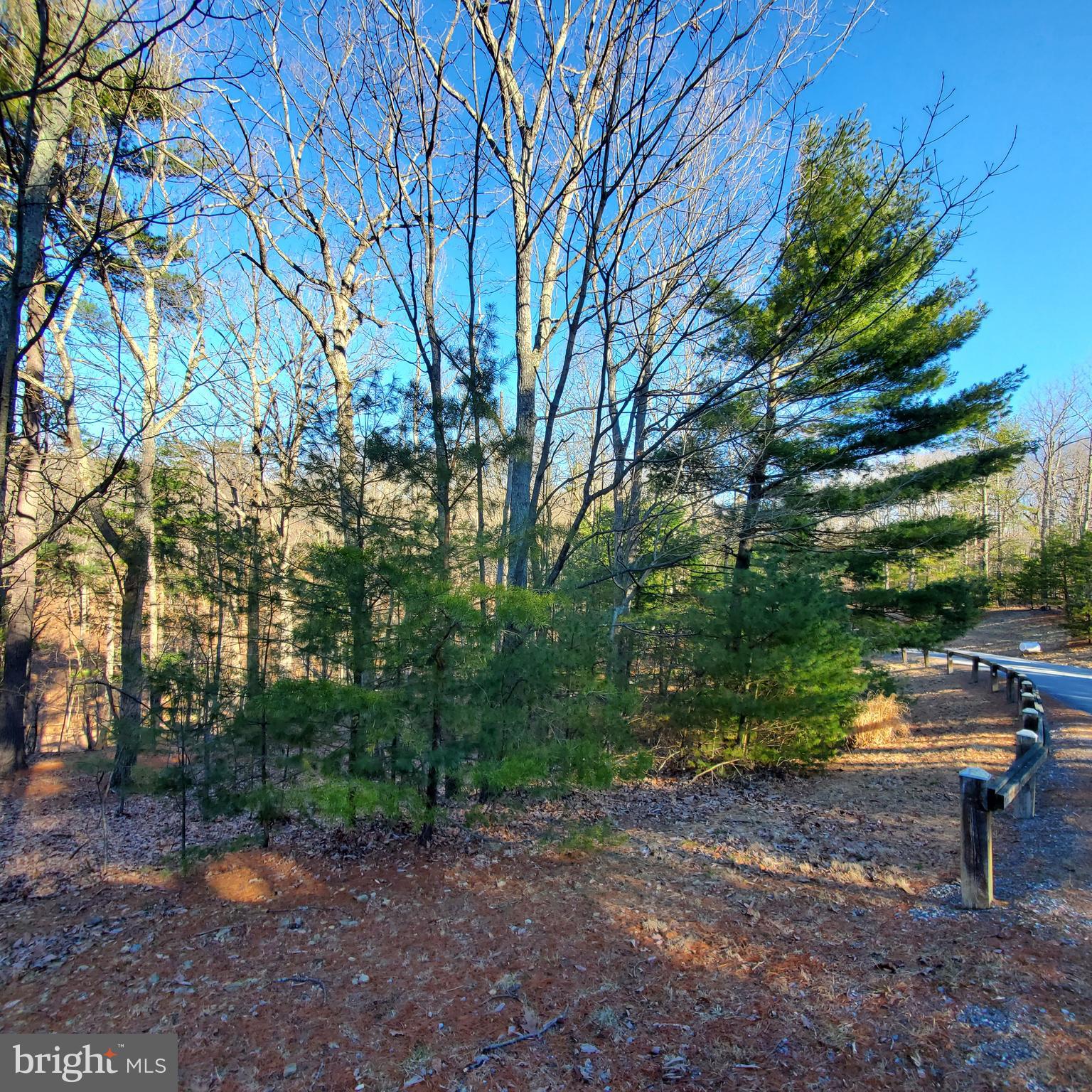 Montevideo Road Berkeley Springs, WV 25411 - Photo 6 of 7 Gallery Image 6