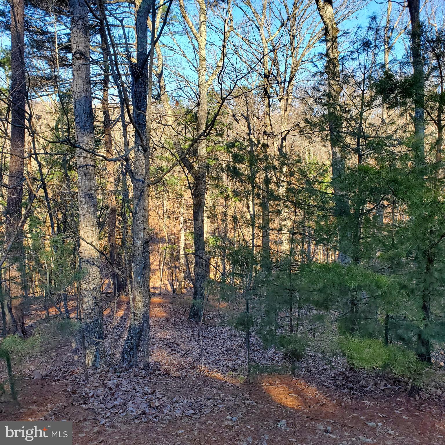 Montevideo Road Berkeley Springs, WV 25411 - Photo 7 of 7 Gallery Image 7