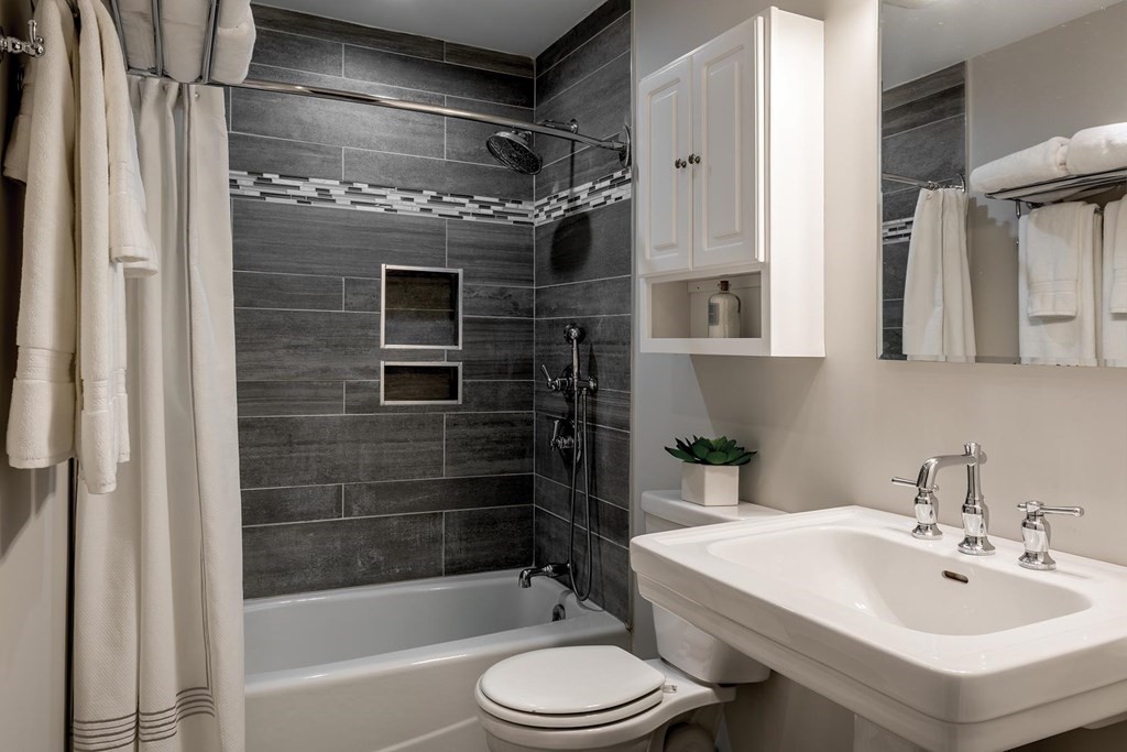 127 Kilsyth Road, Unit 7 Boston, MA 02135 - Photo 6 of 7 Gallery Image 6