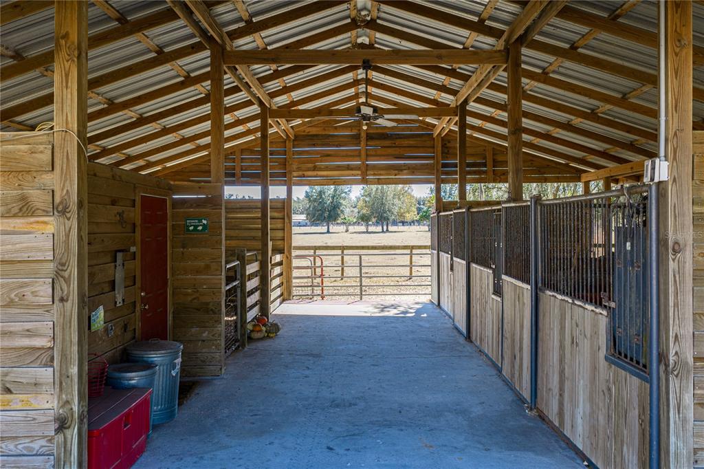 808 Old Welcome Road Lithia, FL 33547 - Photo 71 of 92 Gallery Image 71