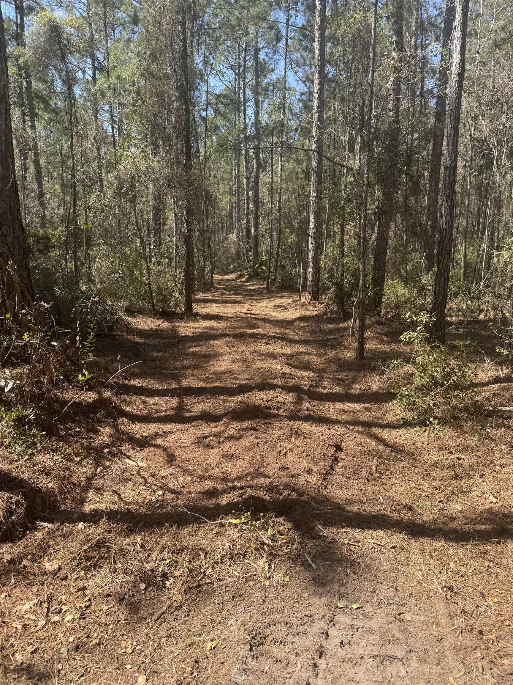 Xx Lighthouse Road Crawfordville, FL 32327 - Photo 13 of 30