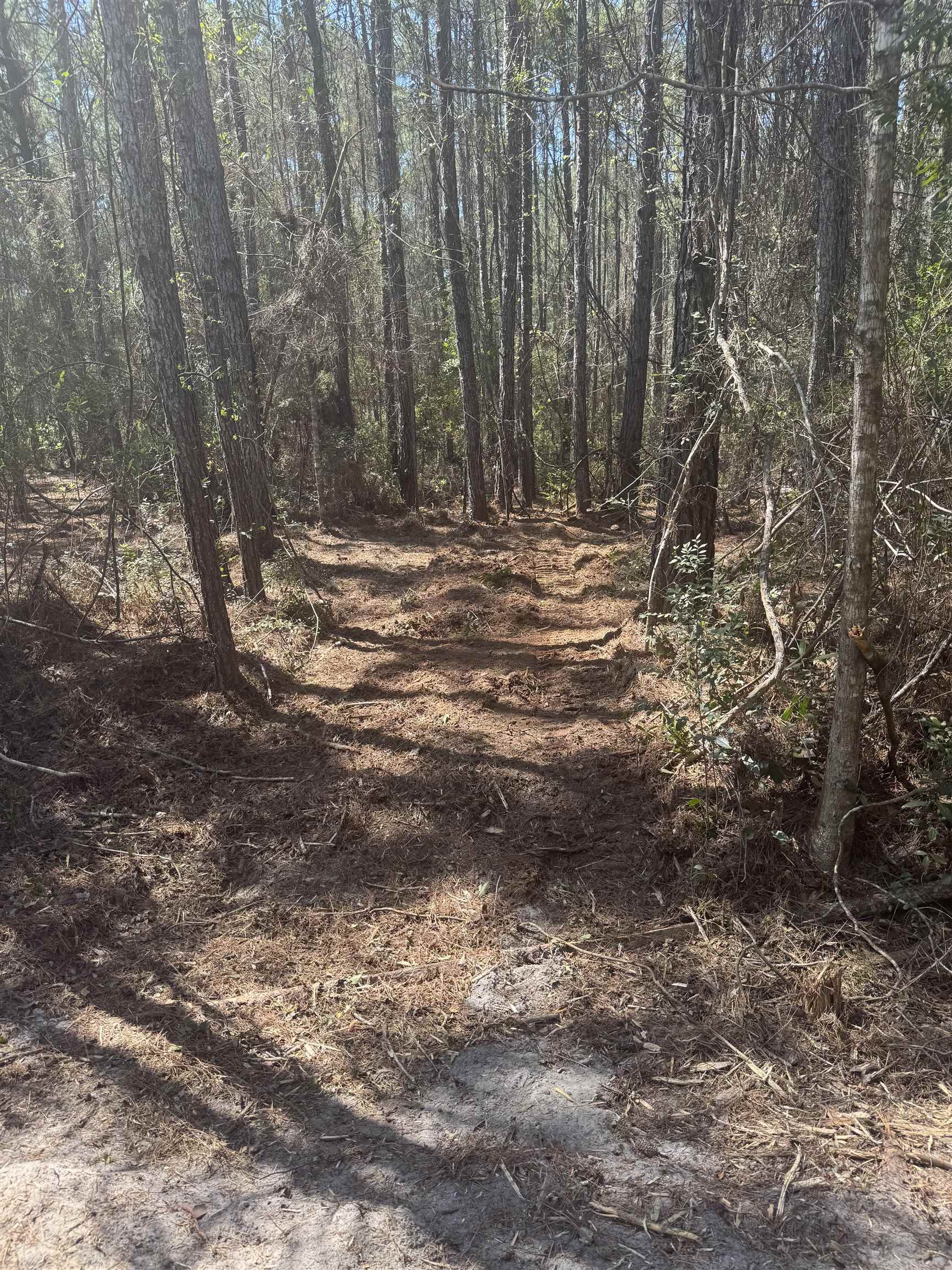 Xx Lighthouse Road Crawfordville, FL 32327 - Photo 17 of 30