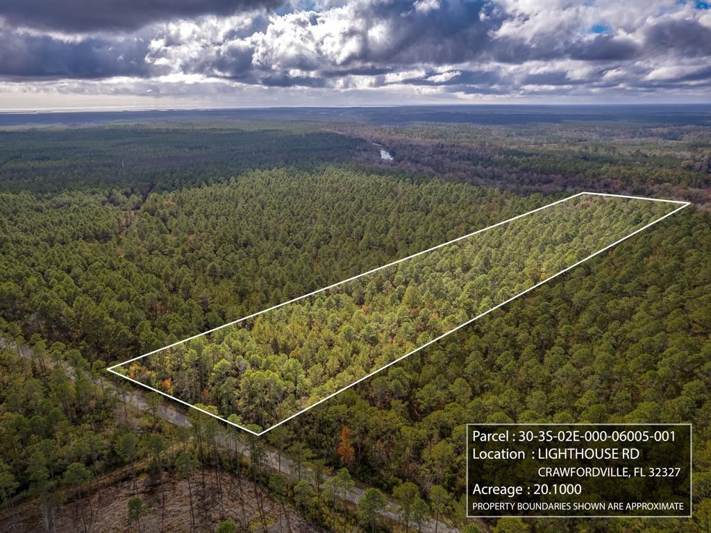 Xx Lighthouse Road Crawfordville, FL 32327 - Photo 18 of 30