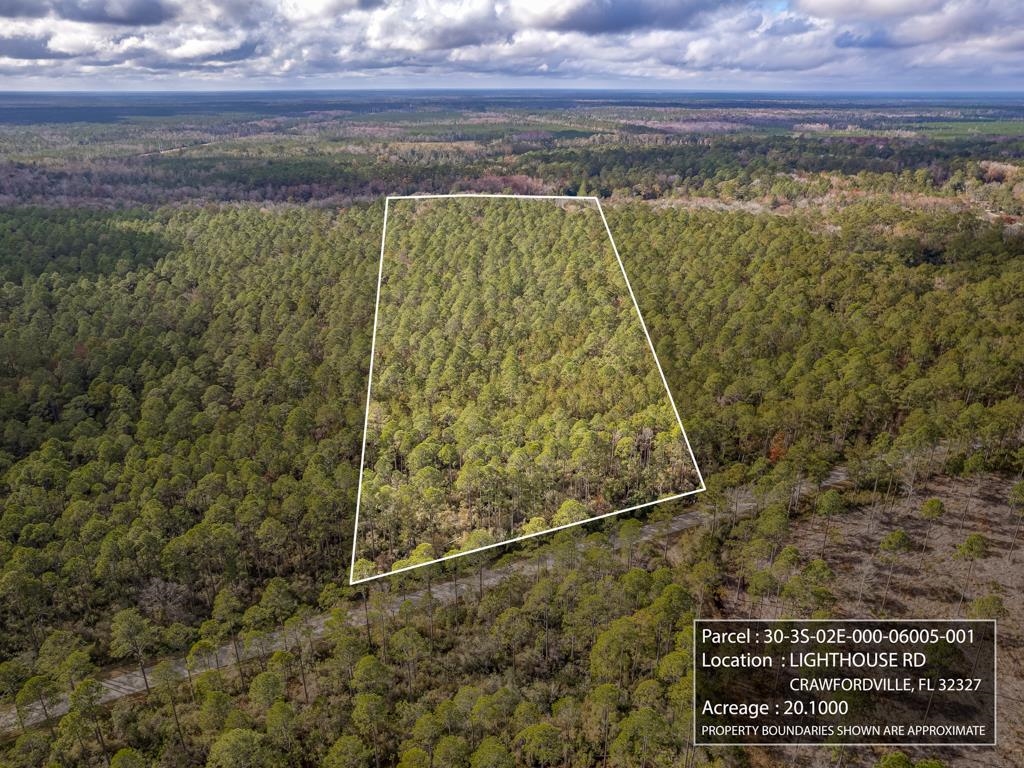 Xx Lighthouse Road Crawfordville, FL 32327 - Photo 22 of 30