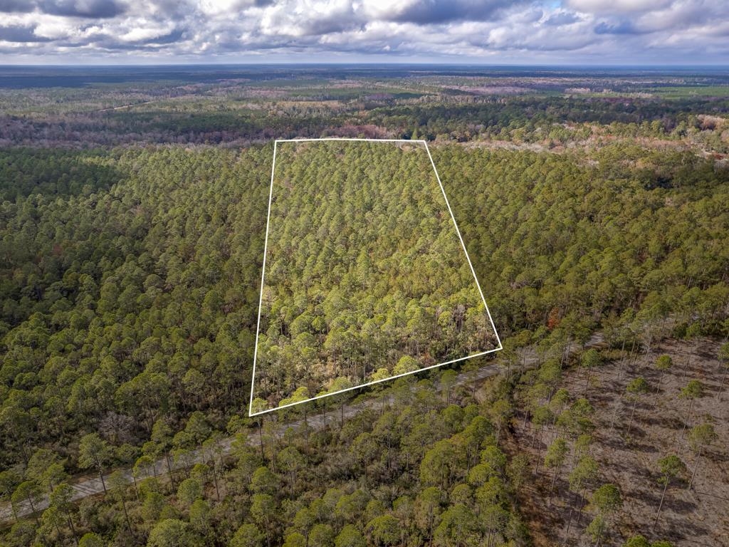 Xx Lighthouse Road Crawfordville, FL 32327 - Photo 23 of 30