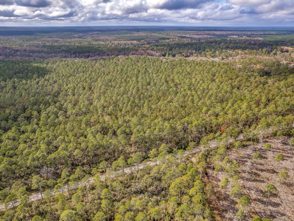 Xx Lighthouse Road Crawfordville, FL 32327 - Photo 24 of 30