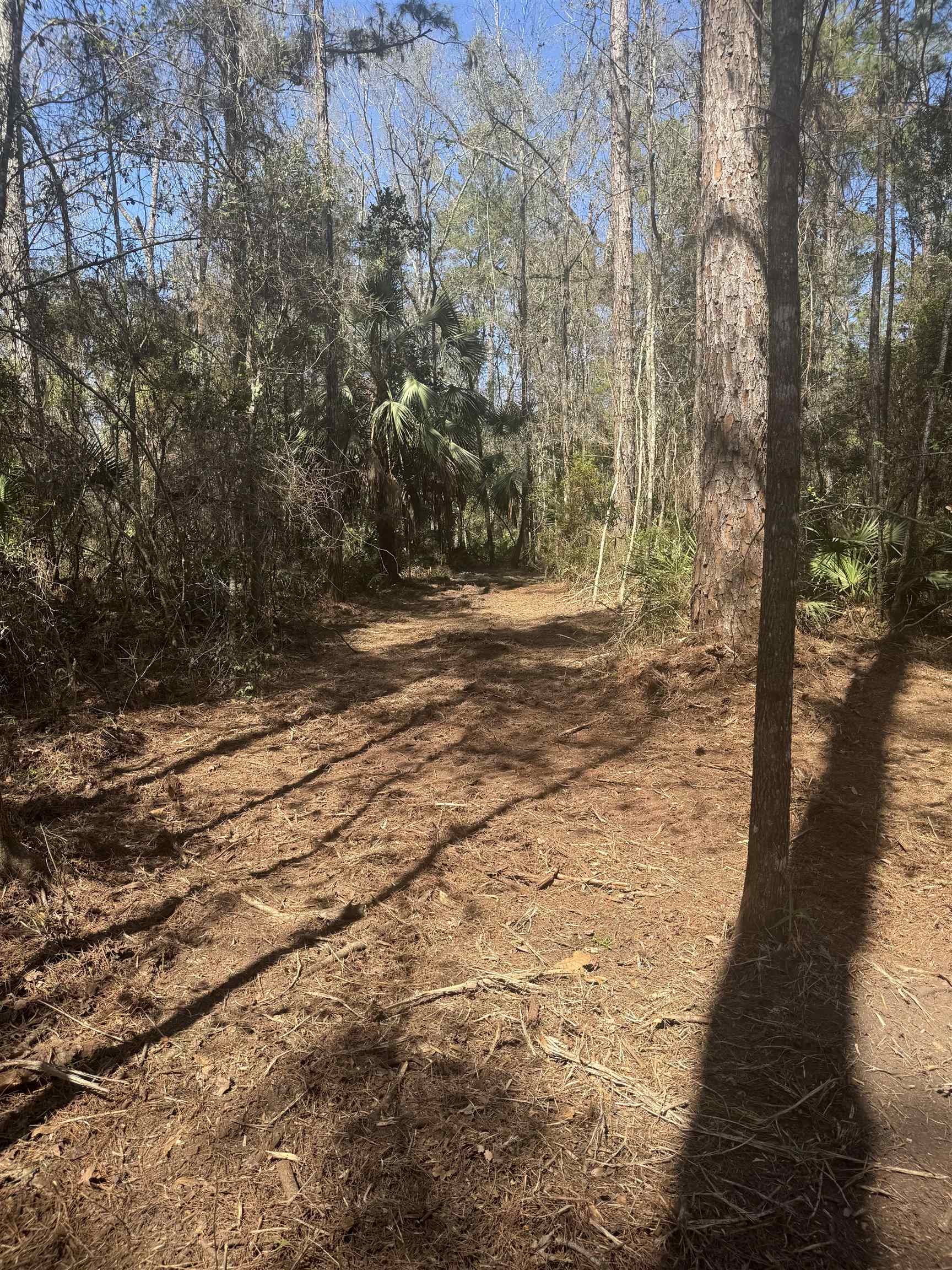 Xx Lighthouse Road Crawfordville, FL 32327 - Photo 5 of 30