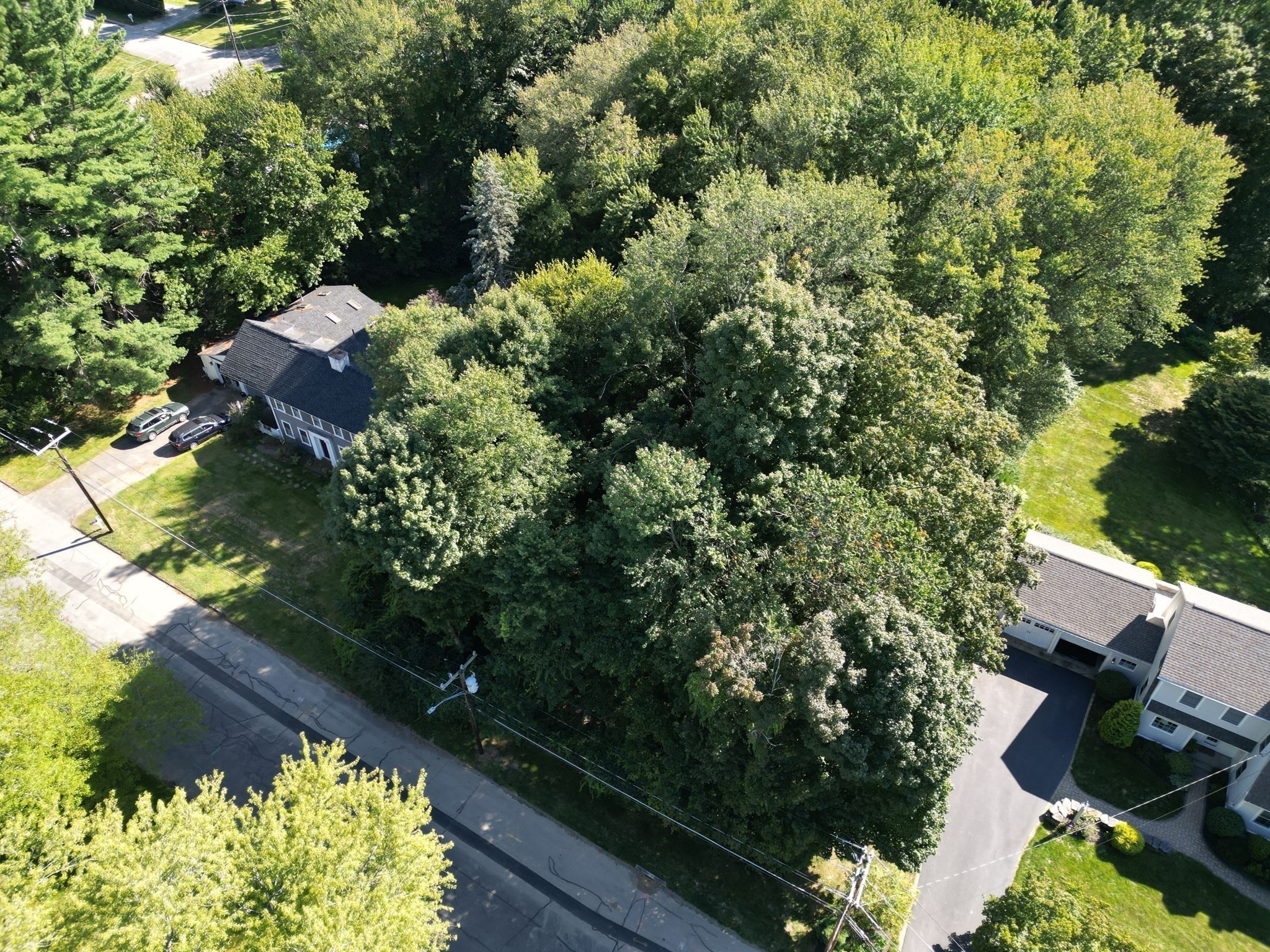 0 Mill Road Longmeadow, MA 01106 - Photo 4 of 10 Gallery Image 4