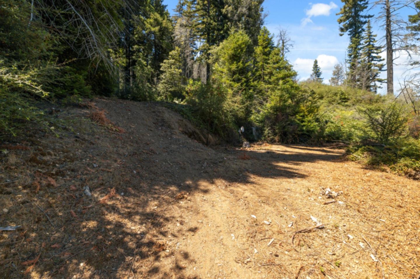 2472 Fanning Grde Ben Lomond, CA 95005 - Photo 13 of 13