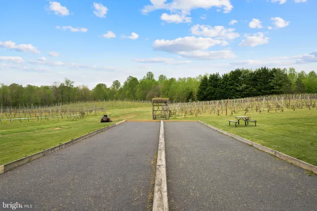 a living room with fireplace furniture and a chandelier
