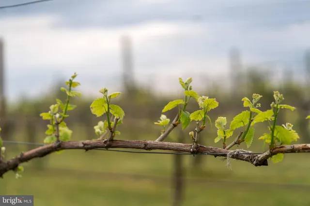 a bedroom with a large bed and a large window