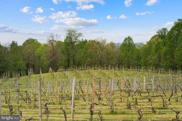 a bedroom with two beds and a large window