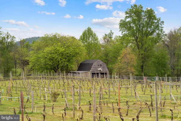a bed room with a bed and large windows