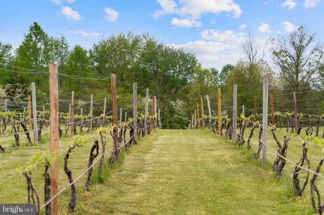 a bathroom with a sink vanity and a mirror