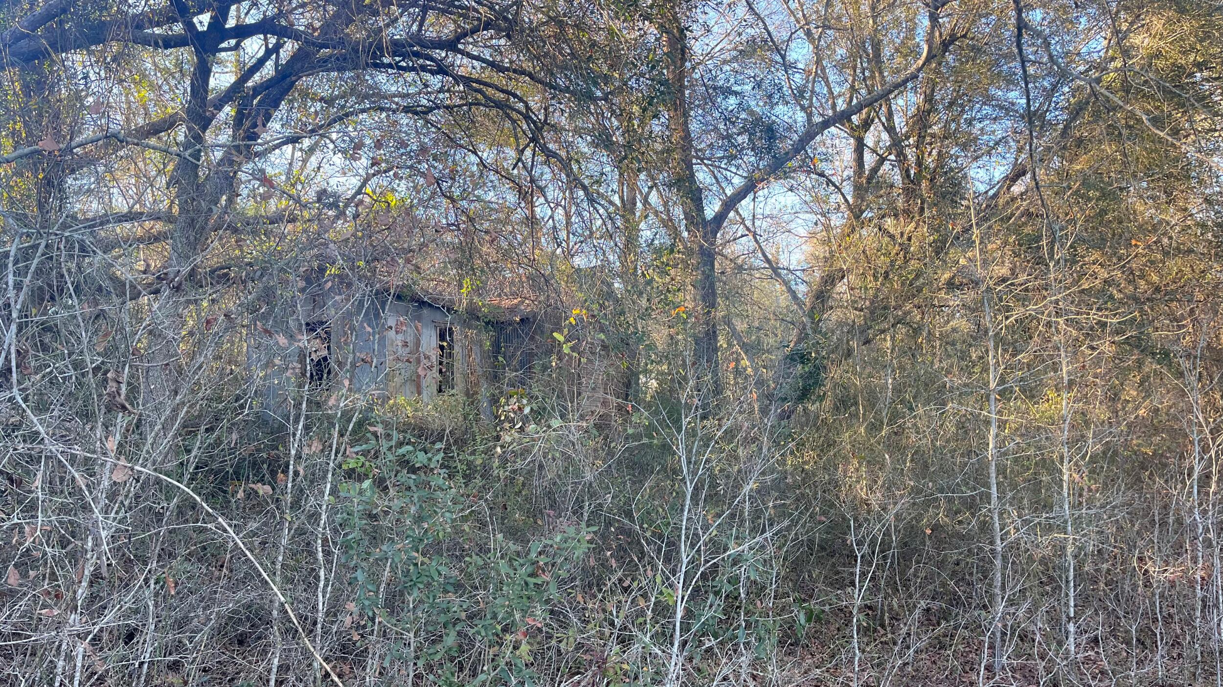 0 Millers Pond Road Salley, SC 29137 - Photo 27 of 28