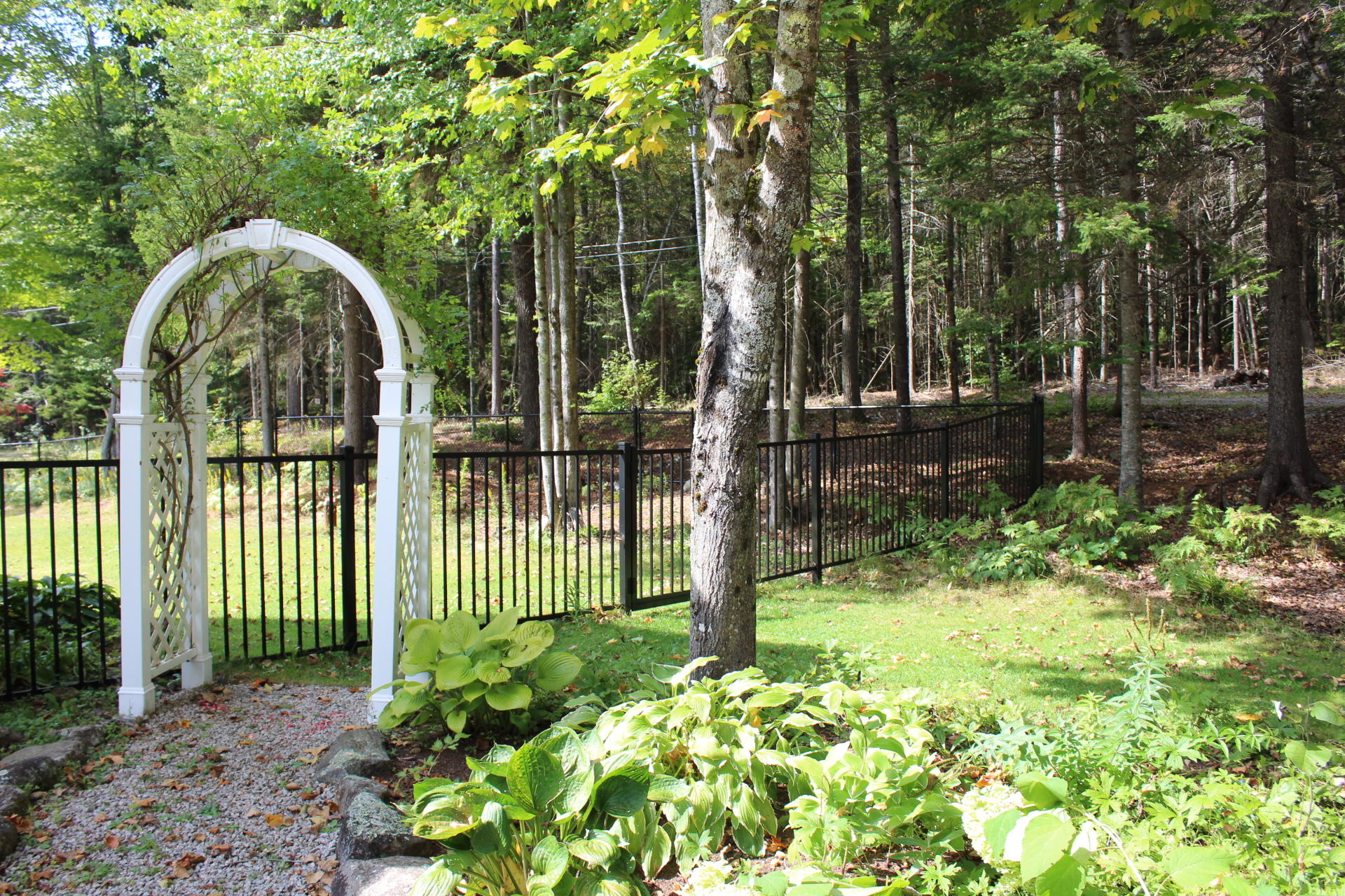 95 Black Road South Searsport, ME 04974 - Photo 93 of 140 IMG_1865