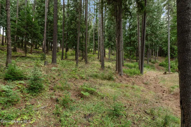 $545,000 | 317 Power Avenue, Kingston, ID 83839