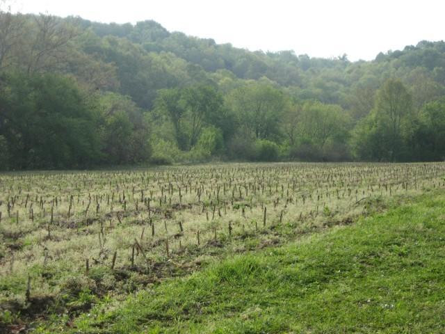 1 Myers Road Carlisle, KY 40311 - Photo 24 of 32 Photo 24