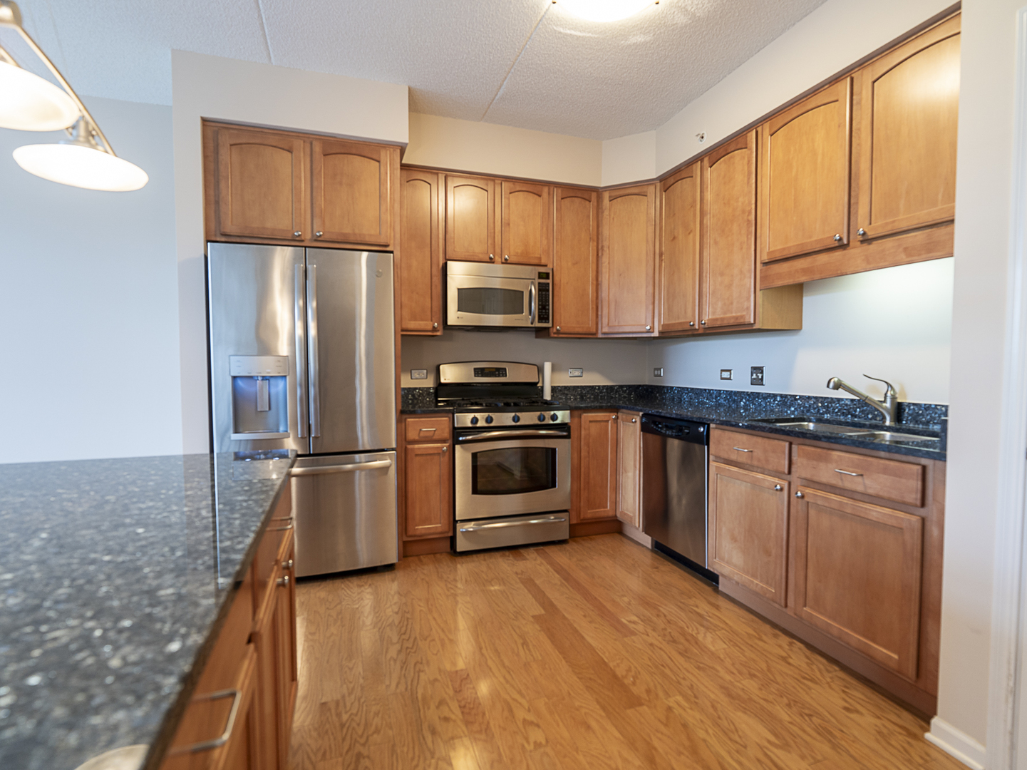 77 North Quentin Road, Unit 310 Palatine, IL 60067 - Photo 3 of 13 Gallery Image 3